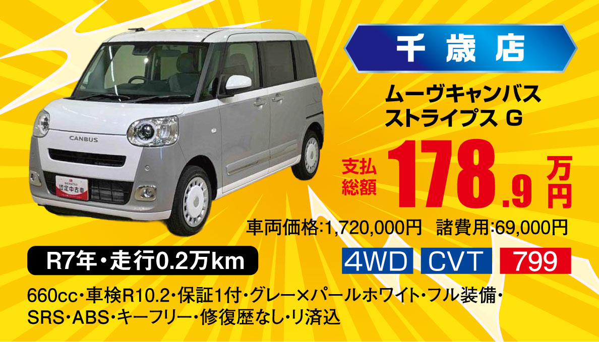 ムーヴキャンバスストライプスG